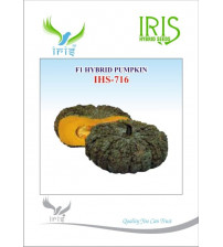 Pumpkin / Kaddoo F1 Iris IHS-716 10 grams